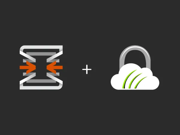Routing Traffic Through TorGuard in OPNsense